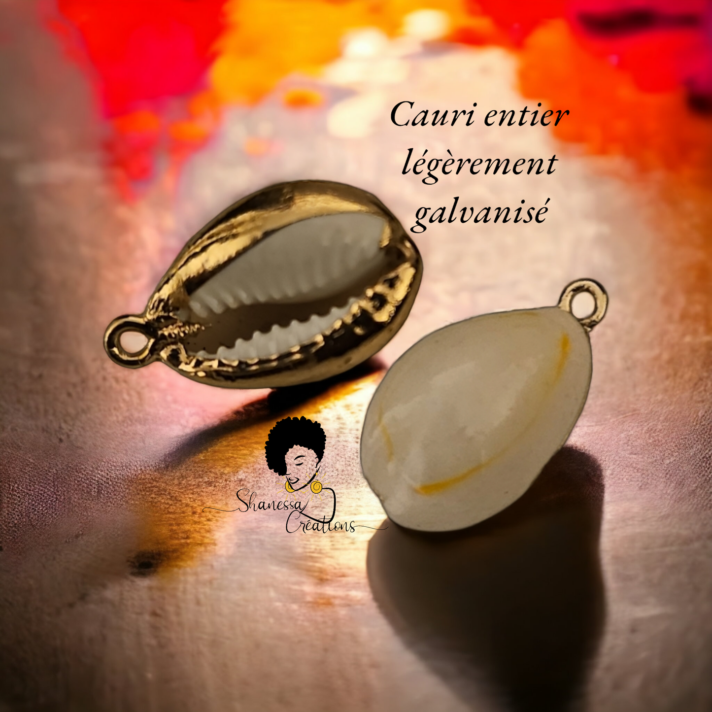 Cauri entier semi galvanisé